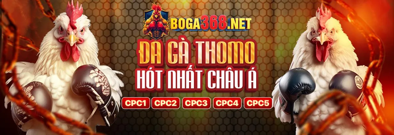 Hình ảnh chính về Tuân thủ GDPR của bq88 đăng nhập